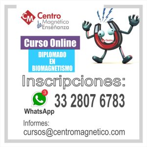 Curso de Biomagnetismo